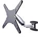 Startech TV Mount Startech FHA-TV-WALL-MOUNT 55"