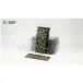 Gamers Grass - Plantes laser : Bugloss #DEFAULT