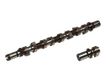 Camshaft AJUSA Camshaft