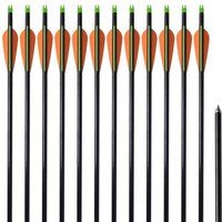 vidaXL 12x Flèches Standard en Fibre de Verre pour Arc à Poulies Résistant