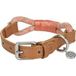 more LIFESTYLEPETS Icecat more LIFESTYLEPETS touwketting rood S