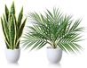 Unyqoos® Kunstplanten 40 cm