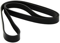 Dayco 6PK1635 riem