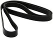Dayco 6PK1635 riem