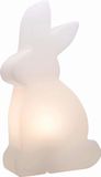 8 seasons design 32478S decoratieve verlichting Optische vezellamp