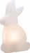 8 seasons design 32478S decoratieve verlichting Optische vezellamp