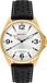 Perfect Classic Montre Homme, Modèle PF00666