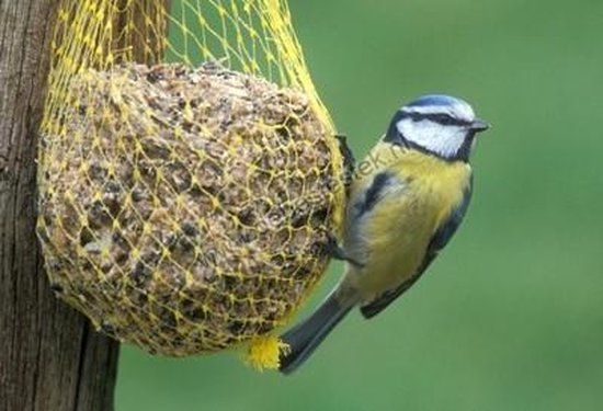 100 vetbollen voor buitenvogels - 7 kg