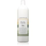 Waterclouds H202