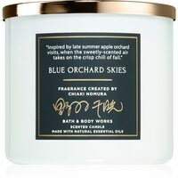 Bath & Body Works Blue Orchard Skies