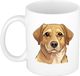 Bellatio Decorations Cadeau mok honden liefhebbers - Labrador Retriever hond - Cartoon tekening - keramiek - 300 ml