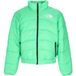 Veste de ski pour hommes 2000 Chlorofylgroen