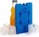 Arte r Koelelementen extra plat - blauw - 11 x 2 x 16 cm - Koelblokken - voor koeltas/koelbox