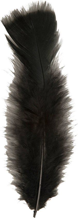 Widmann Halloween - 150x Black Feathers - 17 cm - Decorative Feathers - Halloween Decoration Material