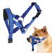 Harnais anti traction - Néoprène - Bleu - Taille L - Pour grand chien