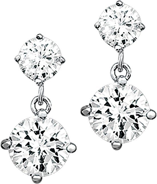 The Jewelry Collection Panda The Jewelry Collection Oorhangers Zirkonia - Zilver Gerhodineerd
