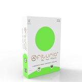 OFITURIA® 50 vellen DIN A4 groen 180 g DIN A4