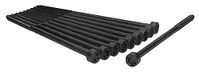 Cylinder AJUSA Cylinder head bolt set