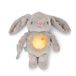Ingenuity, Pluche dier Sylvi Cuddle Pal, rustgevend door planten geactiveerd, 10 rustgevende melodieën, zacht konijn, vanaf 0 maanden, bevordert de ontspanning