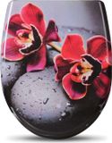 Bolt Edge Toiletbril - Rode bloem print - Duroplast - Antibacterieel - Softclose - Universeel