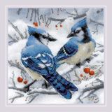 Riolis Blue Jays borduren (pakket)