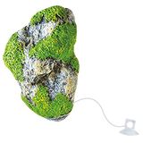 golf Amtra golf Floating Rock Beauty Ornamenten, maat M