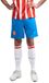 Puma Girona FC 26/27 Replica Home Short Bleu L Homme