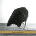 Something Zakarya - Something Obvious