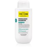 Yellow Professional Scalp Care Shampoos 500 ml