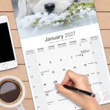 Avonside Bichon Frise Kalender 2027