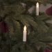 Konstsmide 1139-020 Lichterkette LED 25 Lampen Grün/Weiß Bernstein