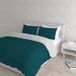 Italian Bed Linen Natuurlijke kleur Dekbedovertrek Set met Doubleface Effen Kleur Tas Sheet en Kussensloop, 100% Katoen, Benzine Groen/Lichtgrijs, dubbele