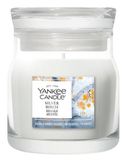 Yankee Candle Silver Birch Bougie Parfumée Ronde Fraîche, Bois Blanc 1 pièce(s)