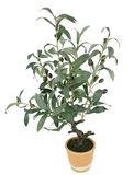 Kunstmatige olijfboom met zwarte vruchten, 57 cm, olijf, mediterrane kunstplant, olijfboom, groene plant, kunstboom, decoratieboom, sierplant, boom, bomen, planten, Toscane, potplant, Zuid-landse