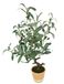 Kunstmatige olijfboom met zwarte vruchten, 57 cm, olijf, mediterrane kunstplant, olijfboom, groene plant, kunstboom, decoratieboom, sierplant, boom, bomen, planten, Toscane, potplant, Zuid-landse