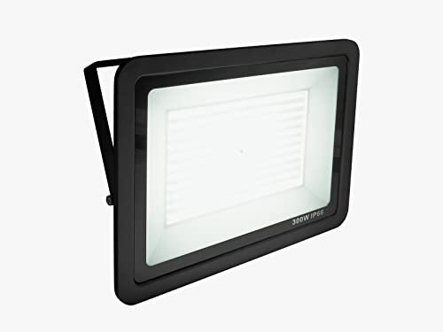 EUROLITE LED IP FL-300 SMD flood light CW