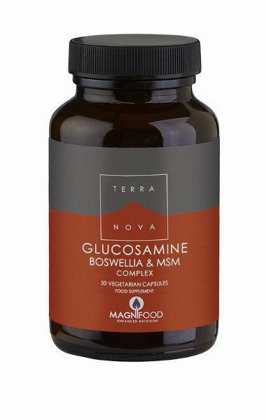 Terra Nova Glucosamine boswellia & msm complex 50 capsules