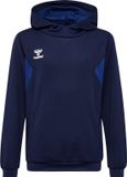 Hummel Kinderhoodie Hmlauthentic Pl Kids 219977