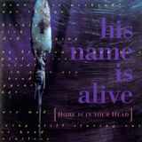 Beggars His Name Is Alive Home Is In Your Head