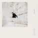 Familiarity Henry Green - Familiarity