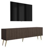 3xE living meuble TV 170 cm, 2 portes, chêne Dunin, pieds dorés inclinés