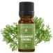 Mayam Ätherisches Virginia-Zedernöl (M - 1153), 10 ml