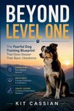 Beyond Independently Published Beyond Level One Paperback