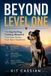Beyond Independently Published Beyond Level One Paperback