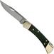 Buck 110 Folding Hunter Ebony Pocket Knife