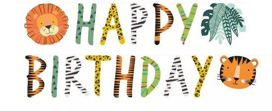 Riethmuller Amscan by Riethmuller Letterslinger Happy Birthday 'Get Wild'