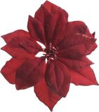 Decoris 1x stuks decoratie bloemen kerstster rood glitter op clip 24 cm