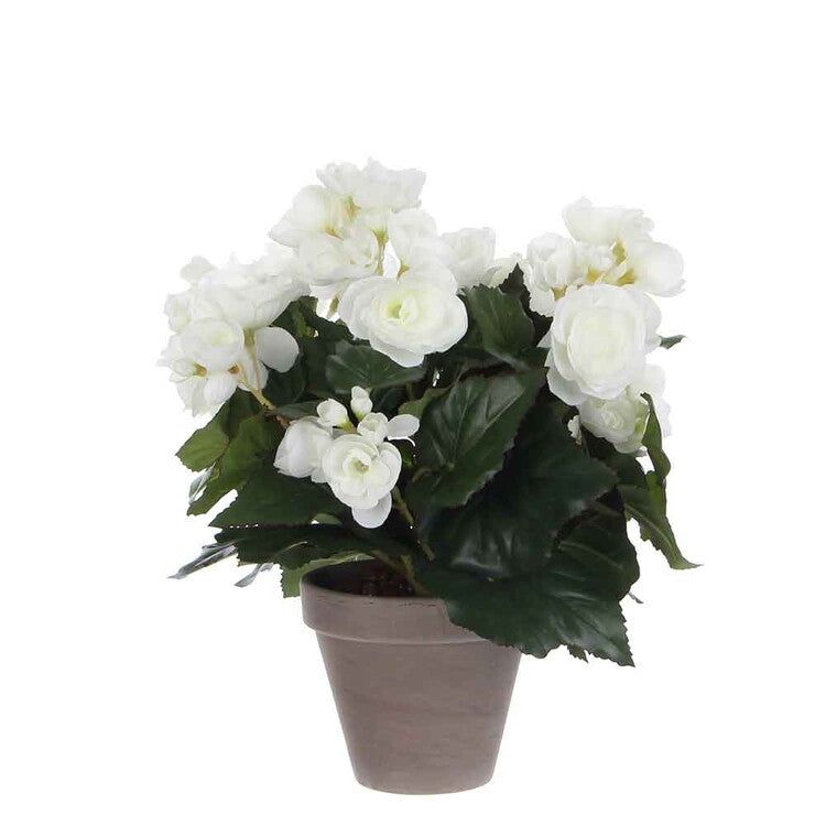 Mica Decorations Begonia - White