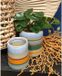 HBX natural living Bloempot Bomba Ø11xh13cm