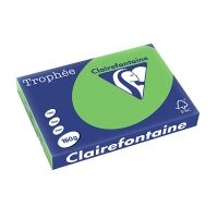 Clairefontaine Gekleurd Papier Grasgroen A3 160 grams - 250 vel